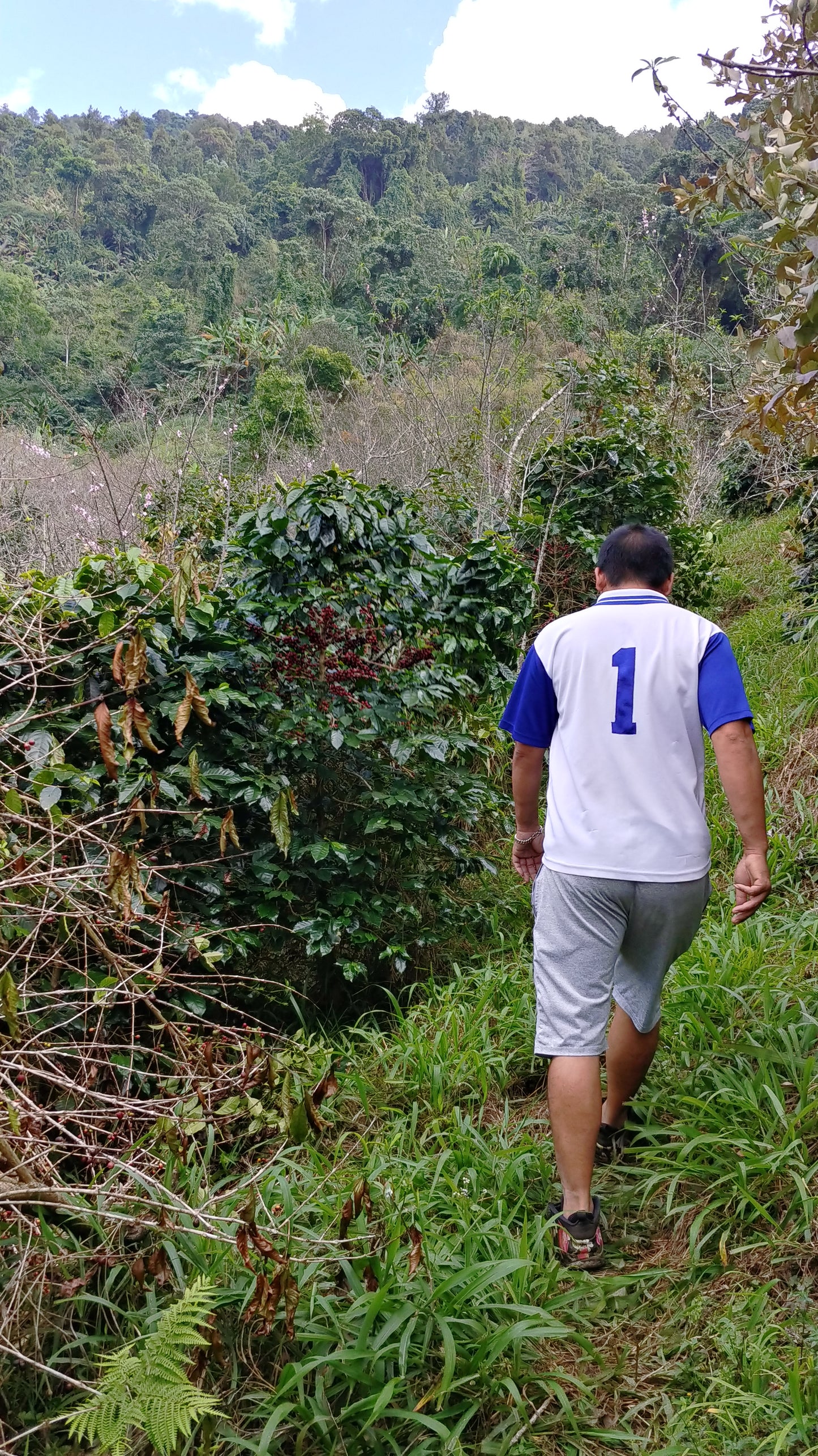 Thailand - Karen Farm | Natural - Archived