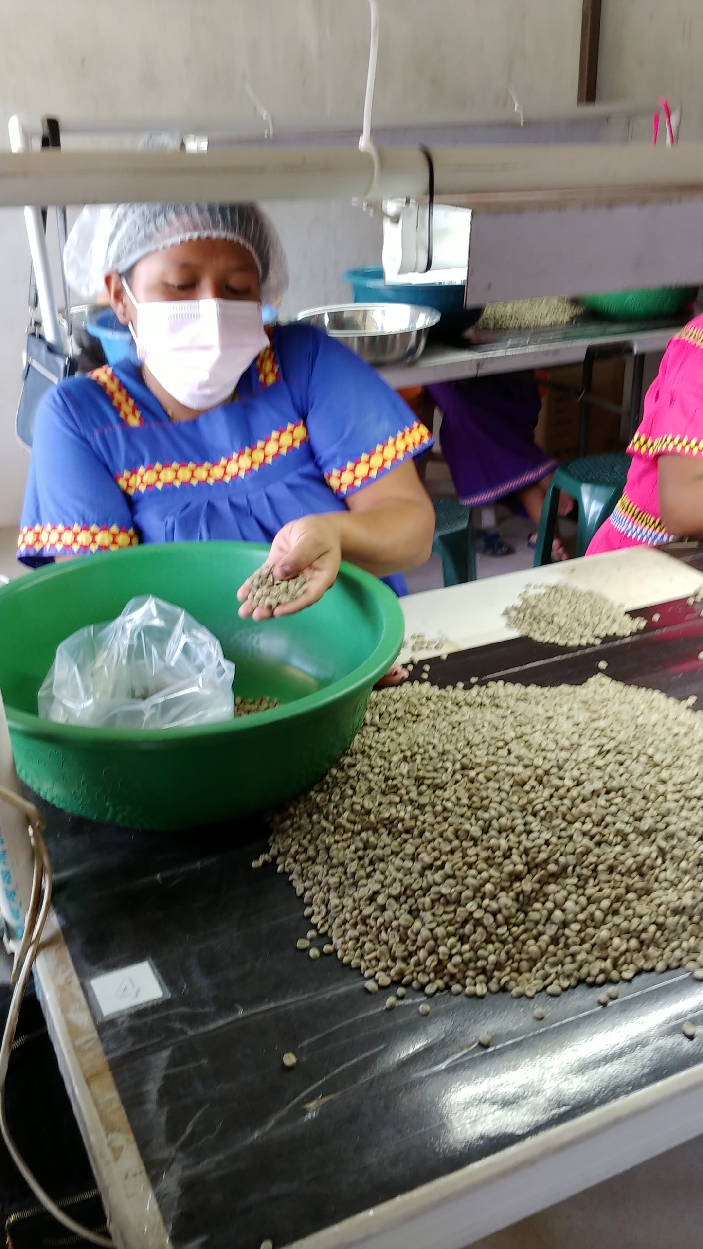 Panama - Boquete | Washed - Archived