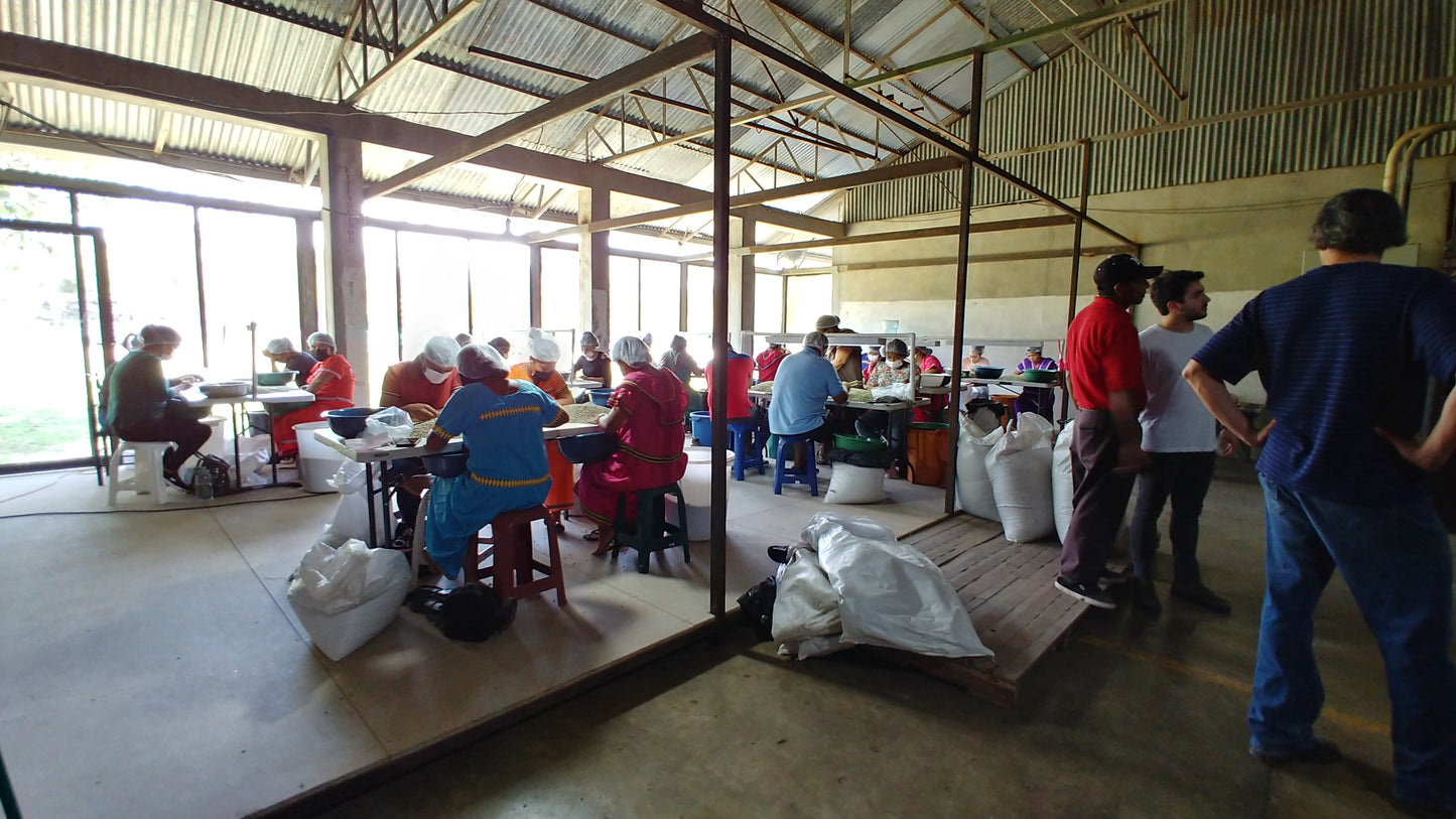 Panama - Boquete | Washed - Archived