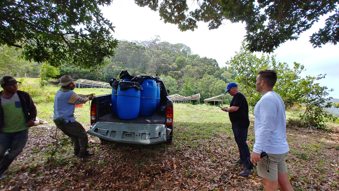 Panama - Finca Jurutungo Gesha  | Lot 415  Honey - 100g - Archived