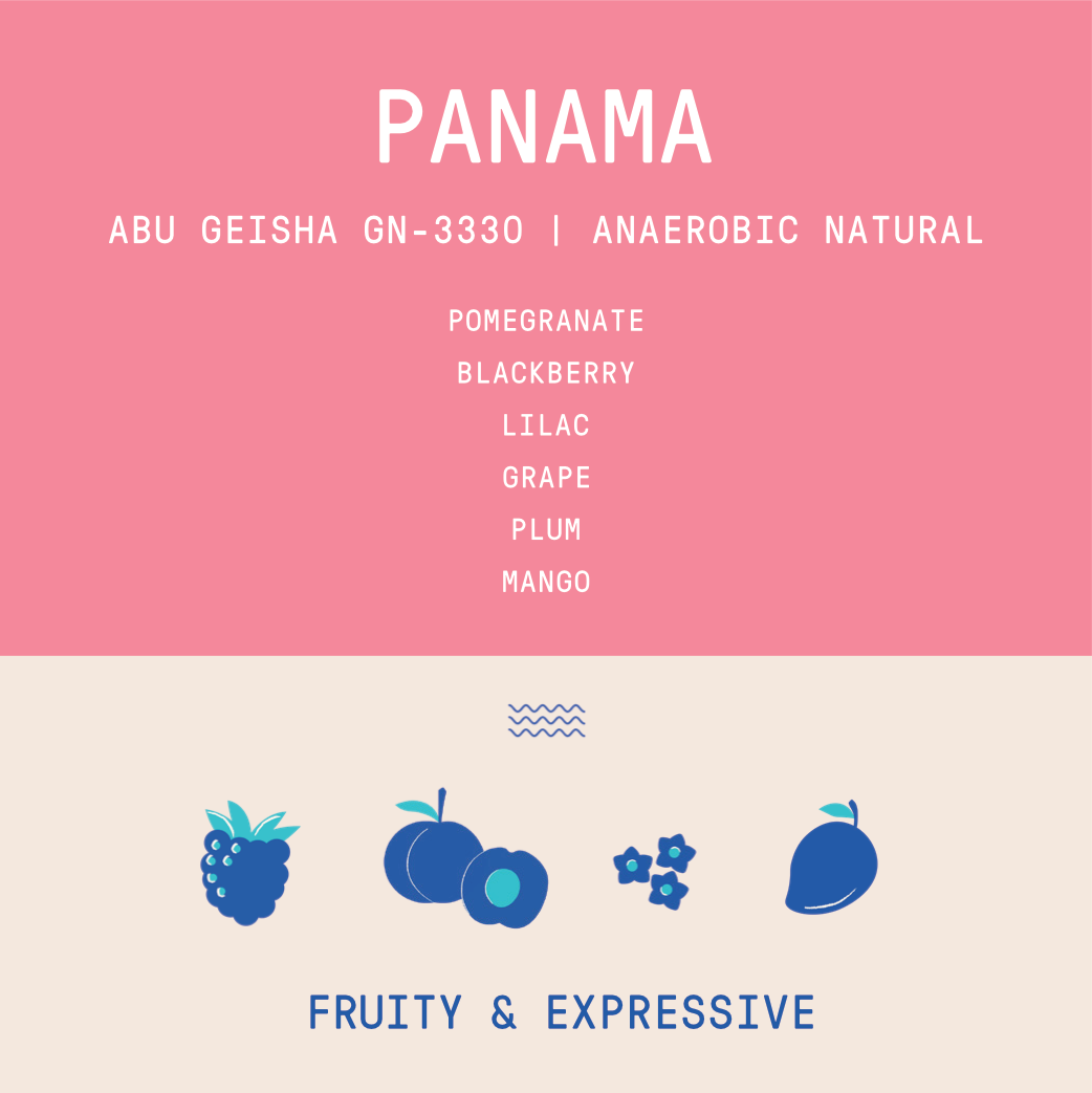 Panama - Abu Geisha GN-3330 | Double Phased Anaerobic Natural - 100g