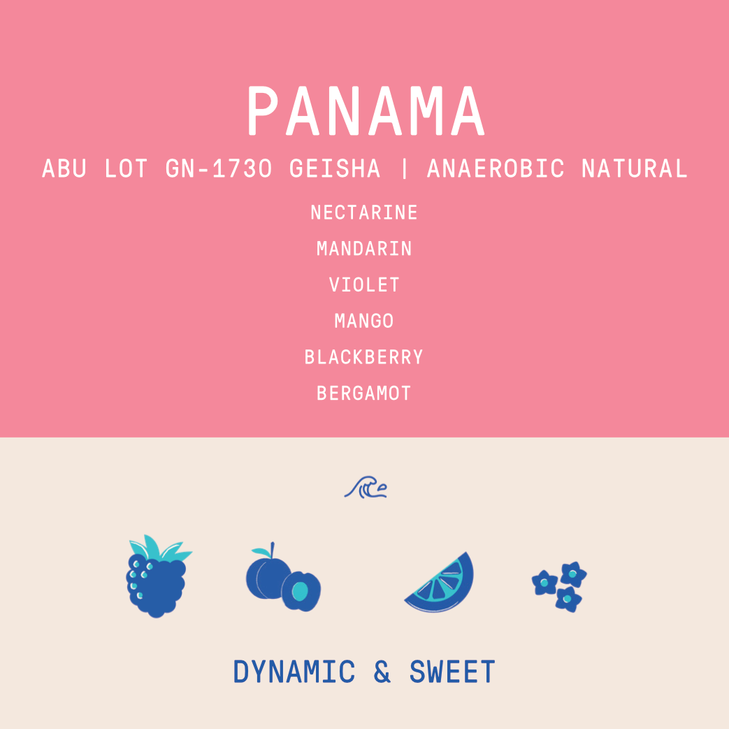 Panama - Abu Geisha GN-1730 | Double Phased Anaerobic Natural - 100g - Archived