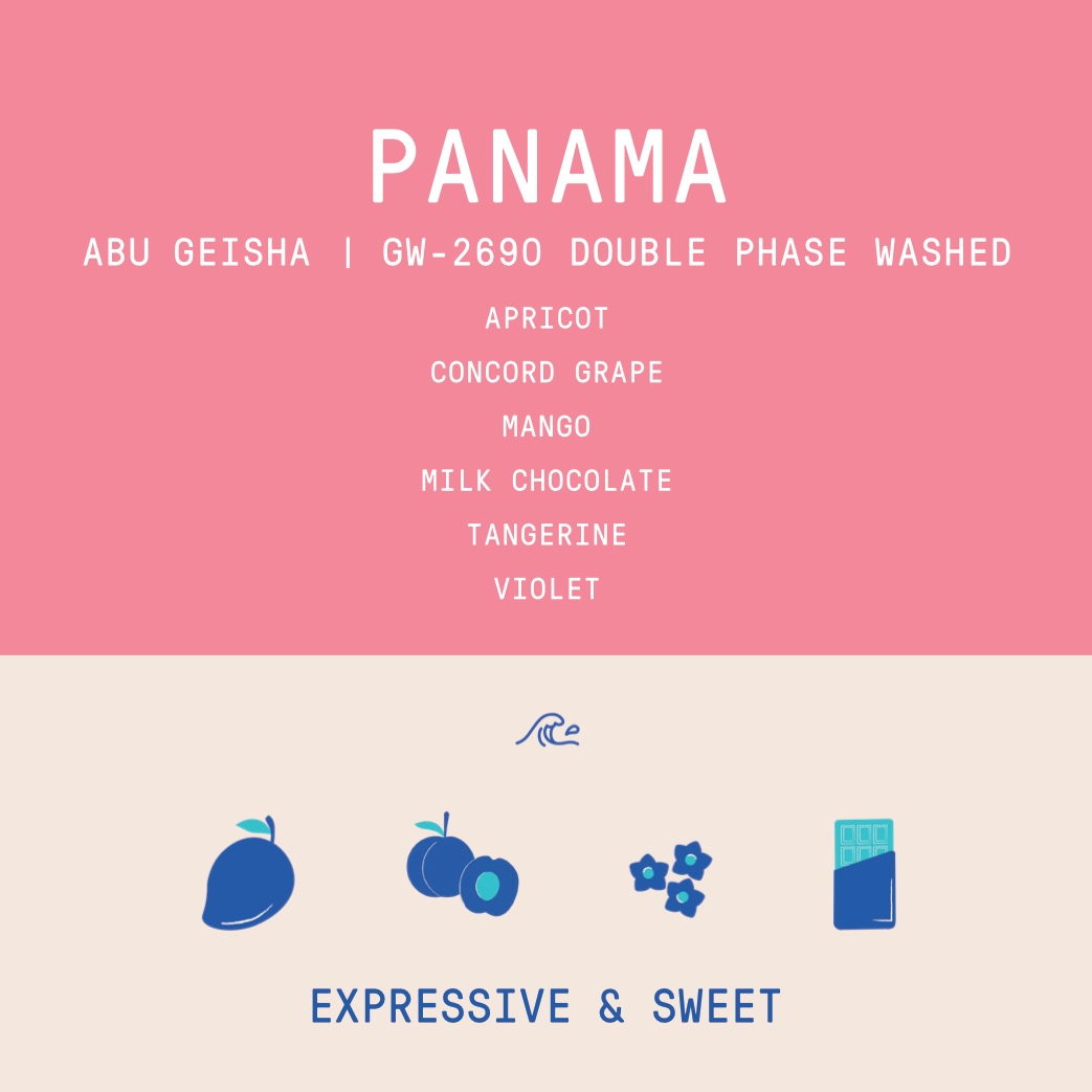 Panama - Abu Geisha GW-2690 | Double Phase Washed - 100g