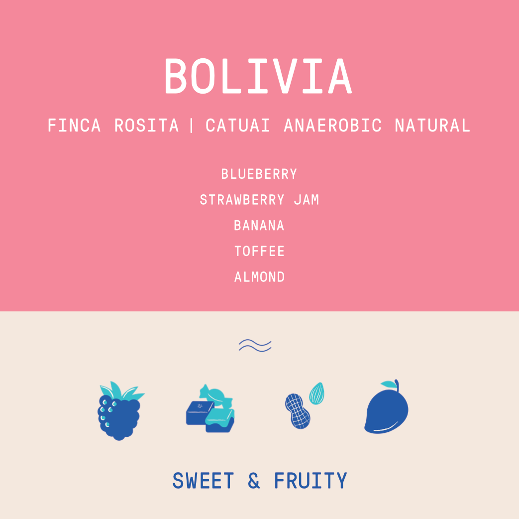 Bolivia - Finca Rosita | Catuai Anaerobic Natural - Archived