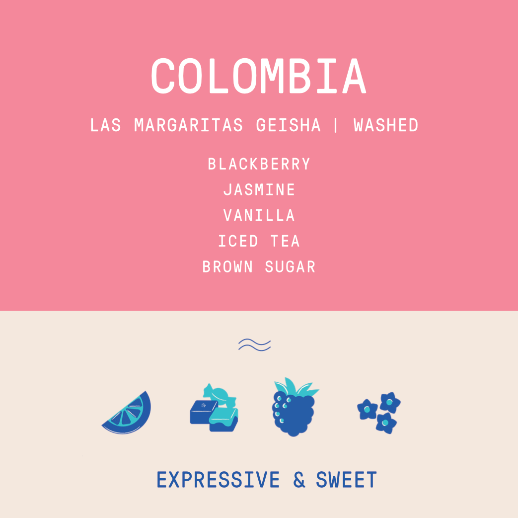 Colombia - Las Margaritas Geisha | Washed 100g