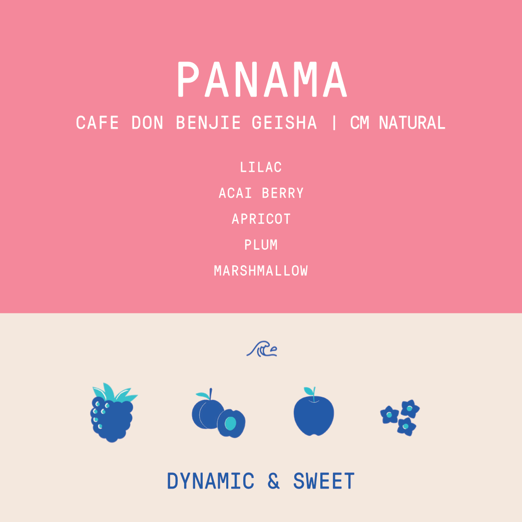 Panama - Cafe Don Benjie Geisha | CM Natural Lot 7 - 100g - Archived