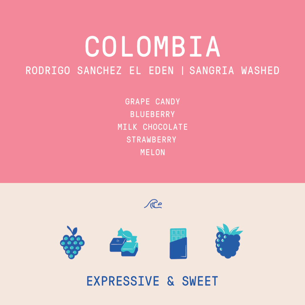 Colombia - El Eden Rodrigo Sanchez | Sangria Washed Co-ferment - Archived