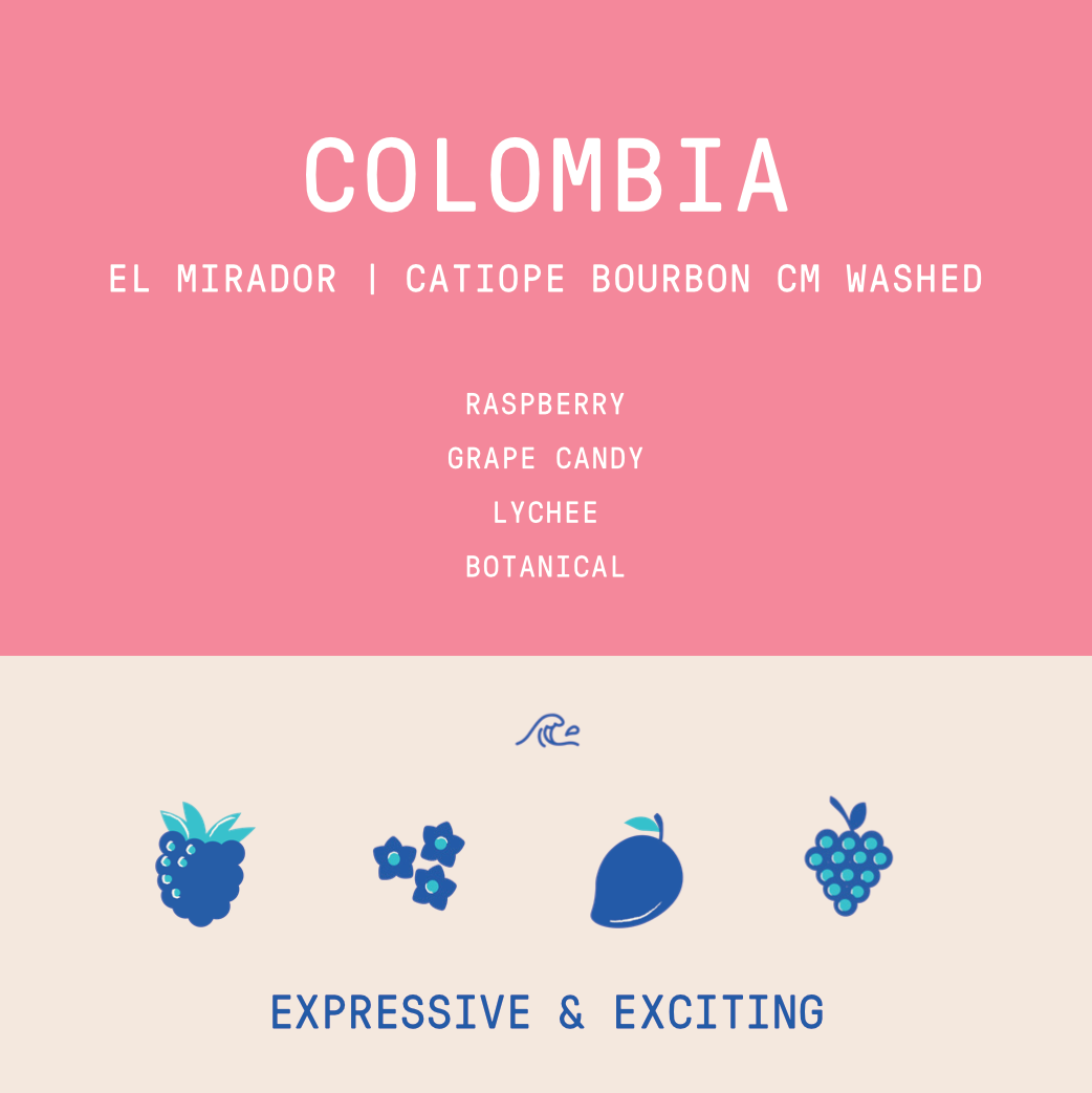 Colombia - Elkin Guzman El Mirador Catiope Bourbon | CM Washed - Archived