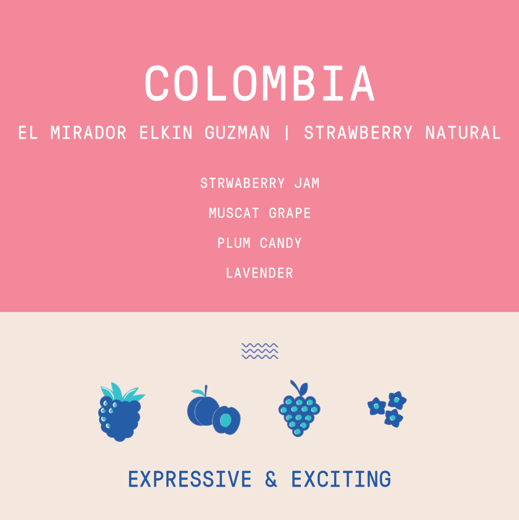 Colombia - Elkin Guzman El Mirador Catiope | Strawberry Co-ferment - Archived