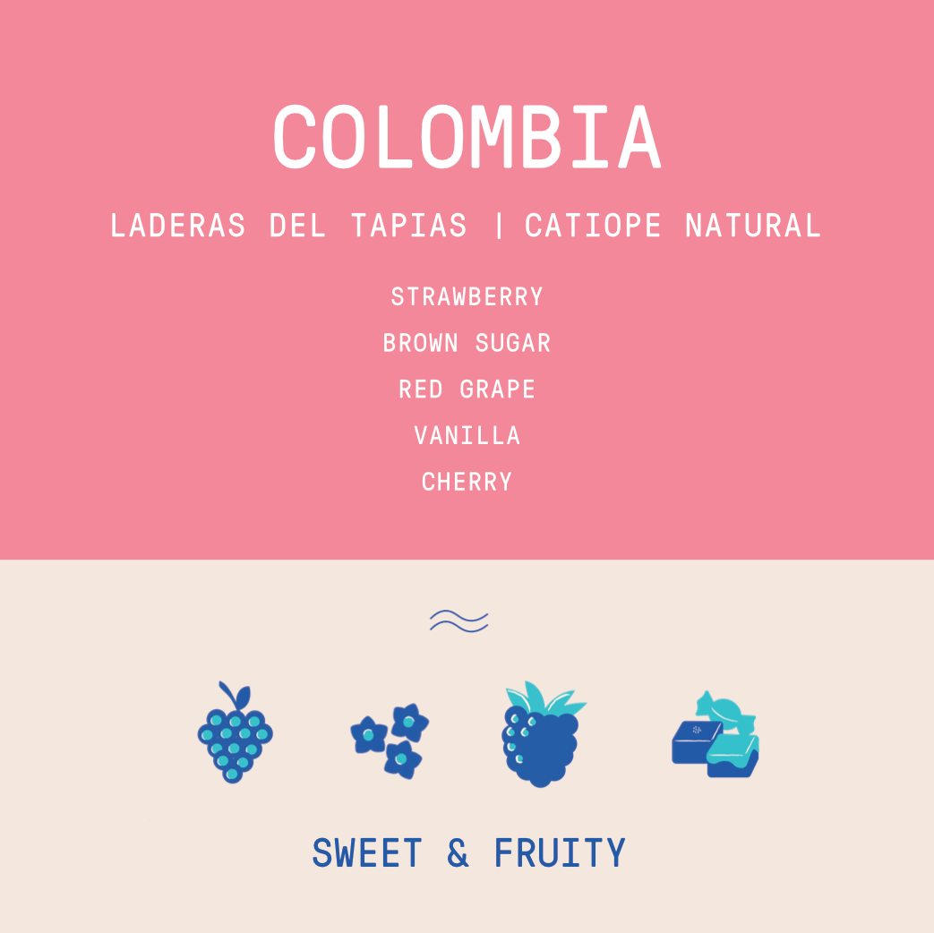 Colombia - Laderas del Tapias | Catiope Natural