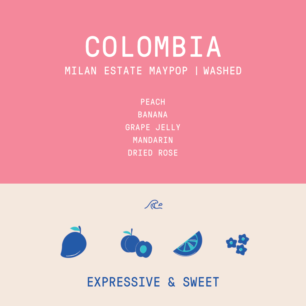 Colombia - Milan Estate Maypop |  Lychee Culturing Washed - Archived