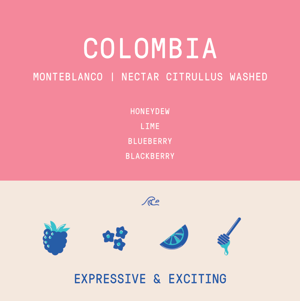 Colombia - Monteblanco Rodrigo Sanchez | Nectar Citrullus Co-ferment - Archived