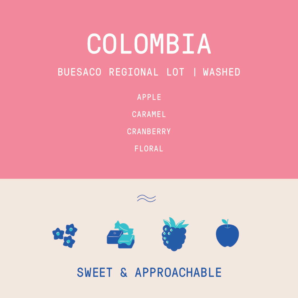 Colombia - Buesaco | Regional Lot Washed - Archived