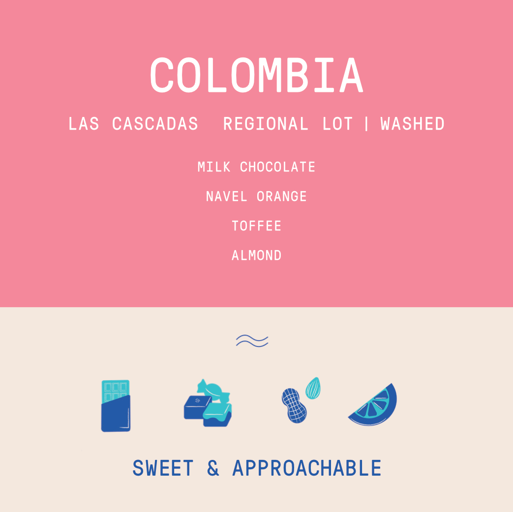Colombia - Las Cascadas | Regional Lot Washed - Archived