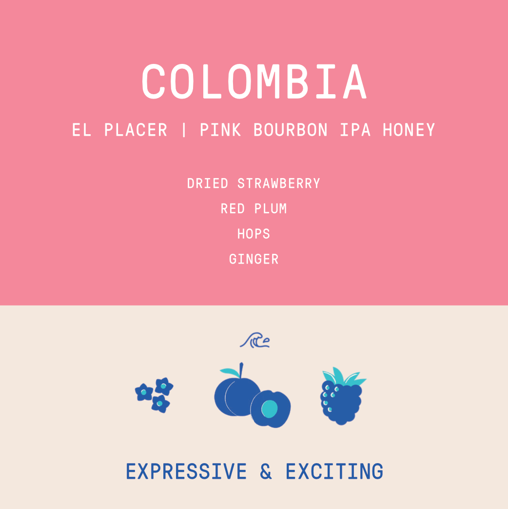 Colombia - El Placer | Pink Bourbon IPA Honey - Archived