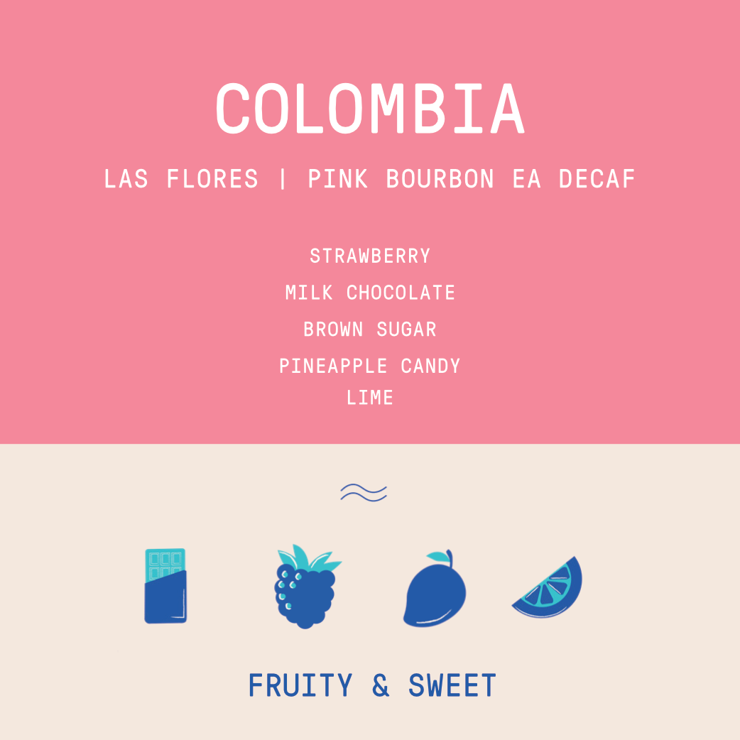 Colombia - Finca Las Flores | EA DECAF Pink Bourbon