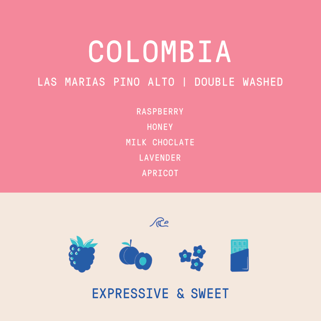 Colombia - Las Marias Pino Alto Geisha | Double Washed - 100g 2026
