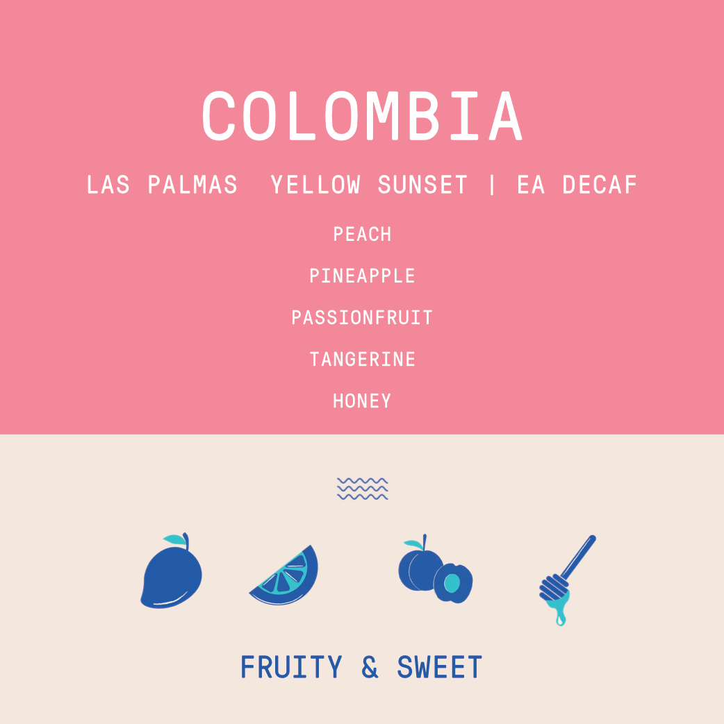 Colombia - Las Palmas Yellow Sunset | Fruit Fermented EA DECAF - Archived