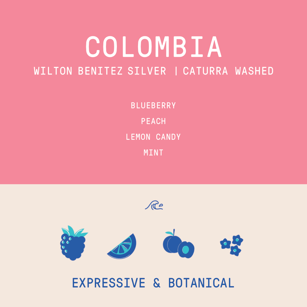 Colombia - Granja Paraiso 92 | Silver Caturra Anaerobic Washed - Archived