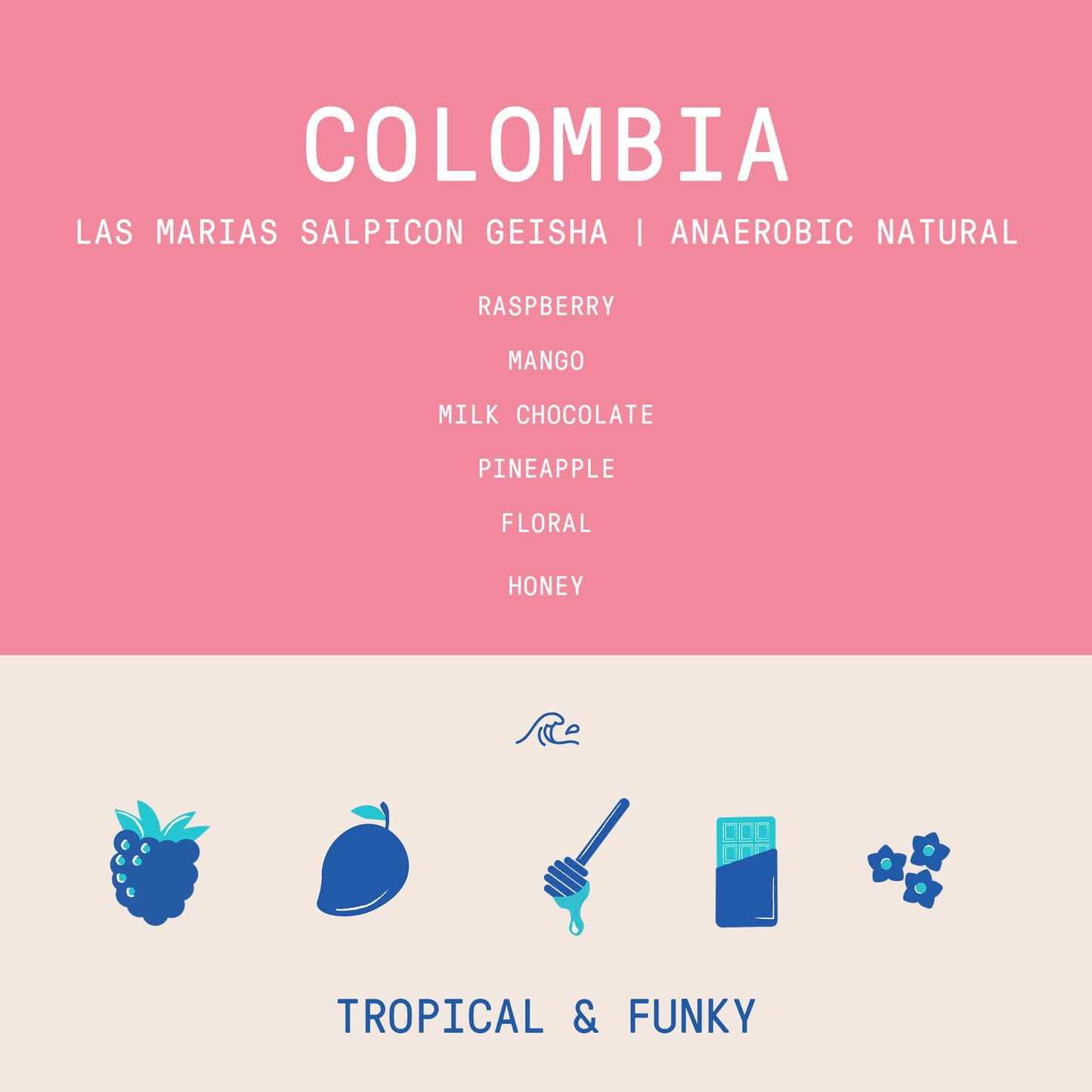 Colombia - Las Marias Salpicon Geisha | 96 hour Anaerobic Natural - 100g - Archived