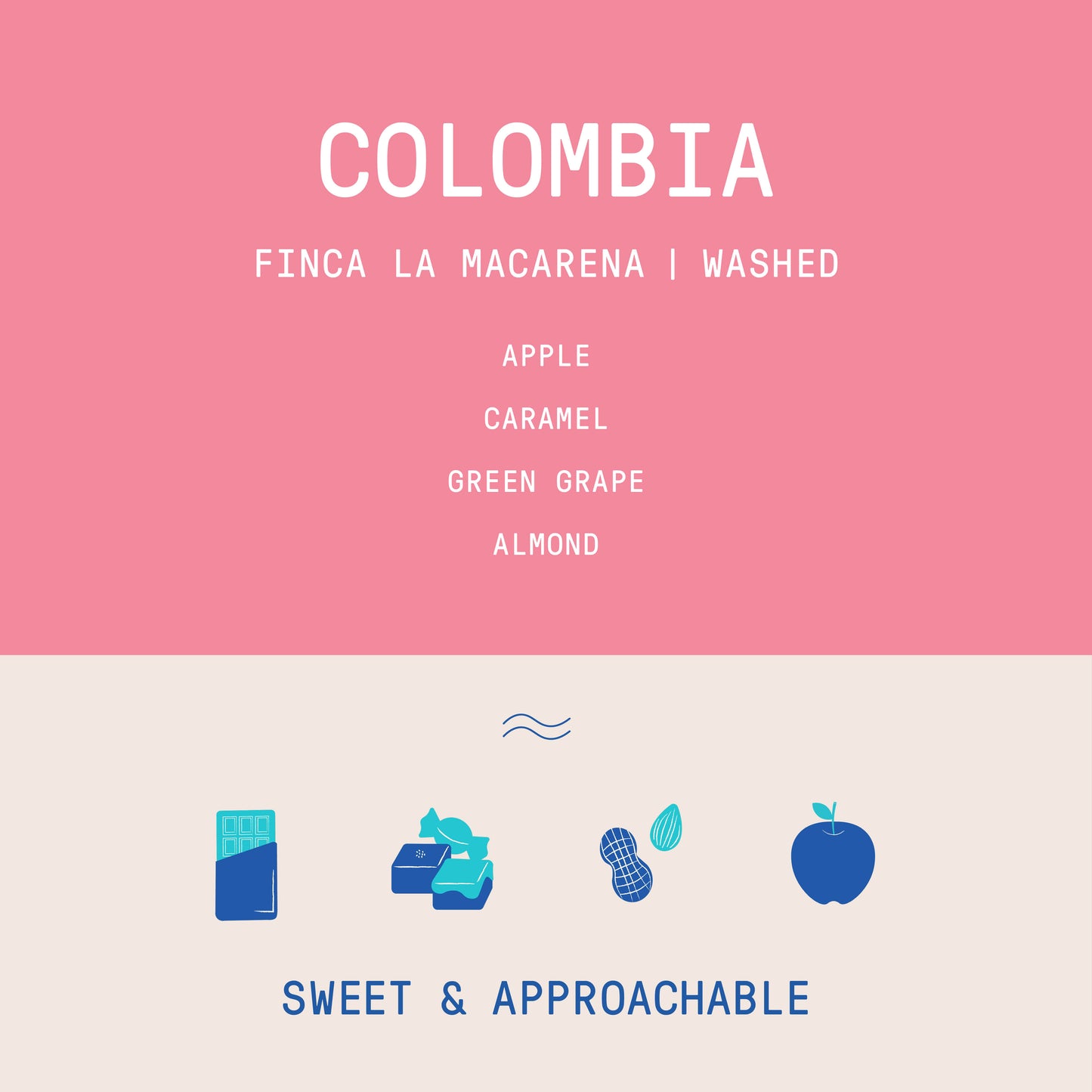 Colombia - Finca La Macarena Wilton Benitez | Washed Castillo - Archived