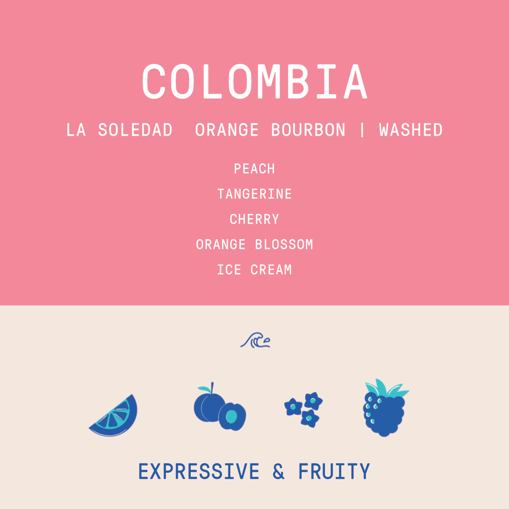 Colombia - La Soledad | Orange Bourbon Fermented Washed - Archived