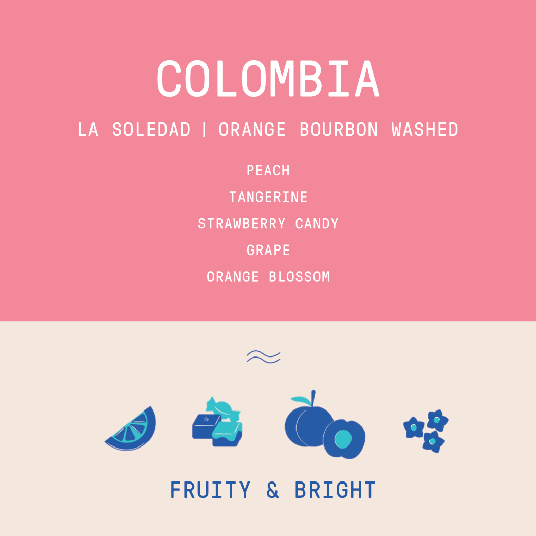 Colombia - La Soledad | Orange Bourbon Fermented Washed 2025 - Archived
