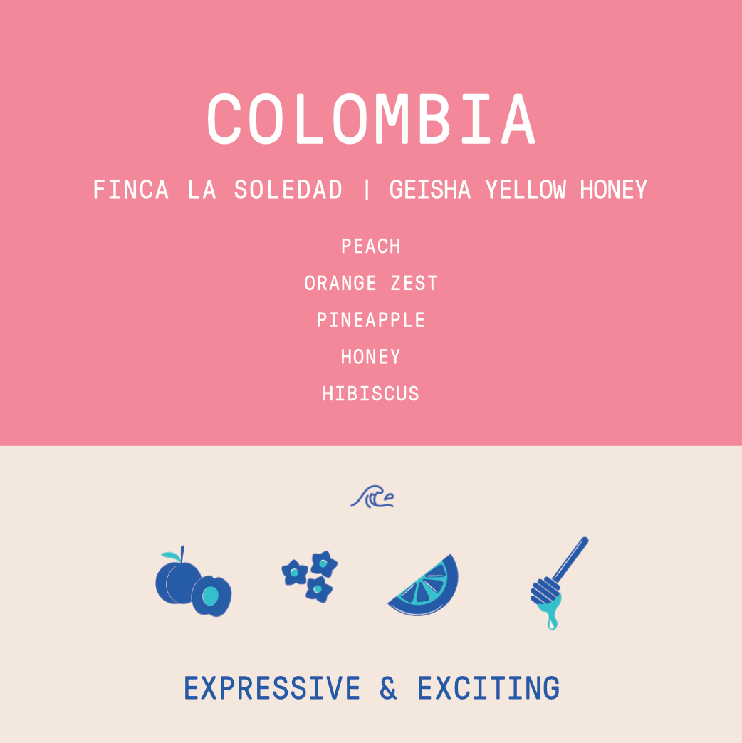 Colombia - La Soledad | Yellow Geisha - Archived