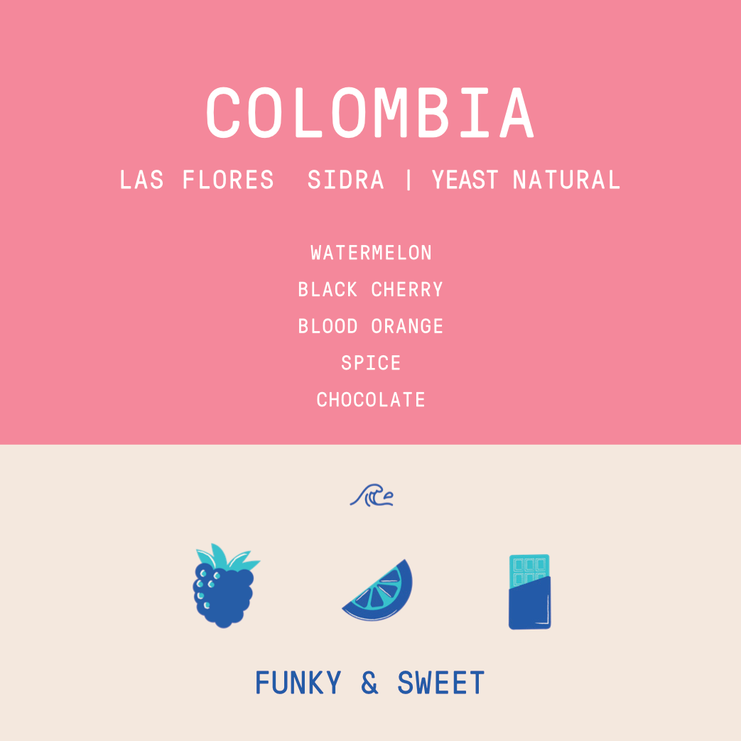 Colombia - Las Flores | Sidra Thermal Shock Yeast Anaerobic Natural - Archived