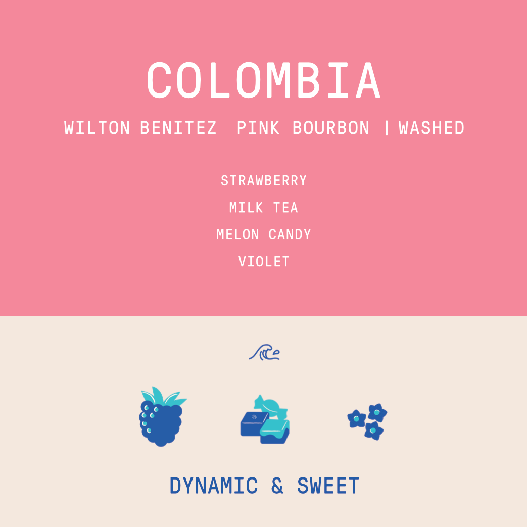 Colombia - Granja Paraiso 92 | Pink Bourbon Thermal Shock Washed - Archived