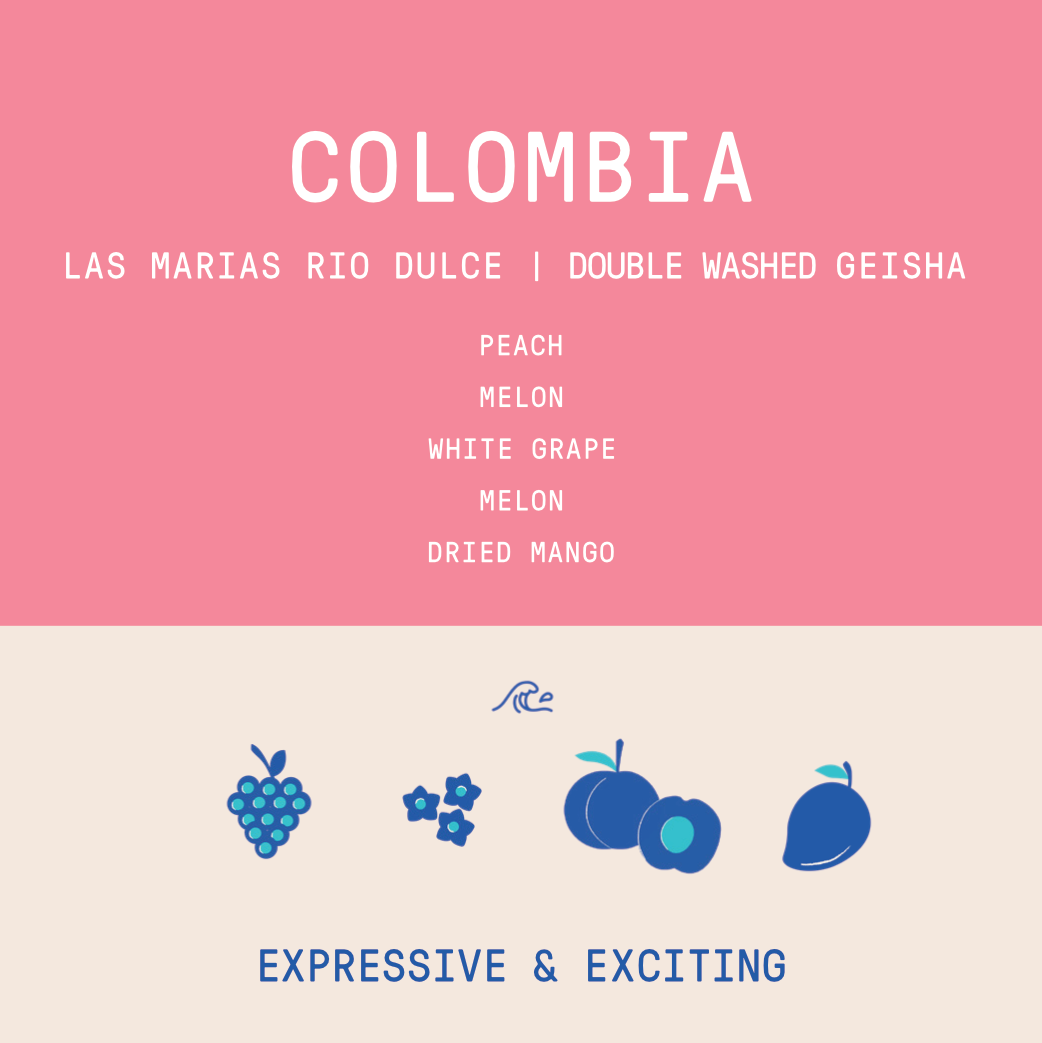 Colombia - Las Marias Rio Dulce Geisha | Washed 100g - Archived
