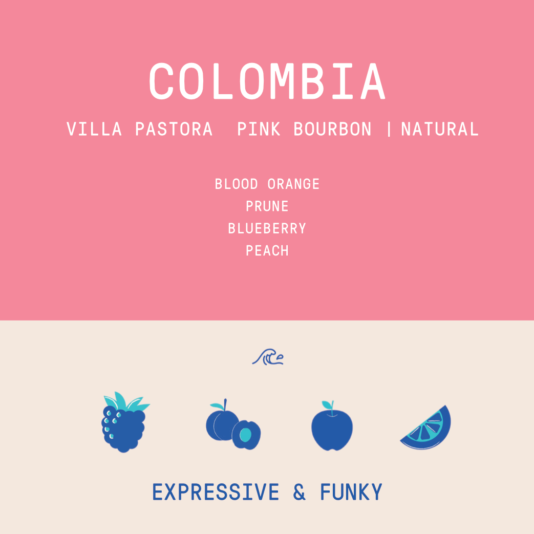 Colombia - Villa Pastora | Pink Bourbon Natural - Archived