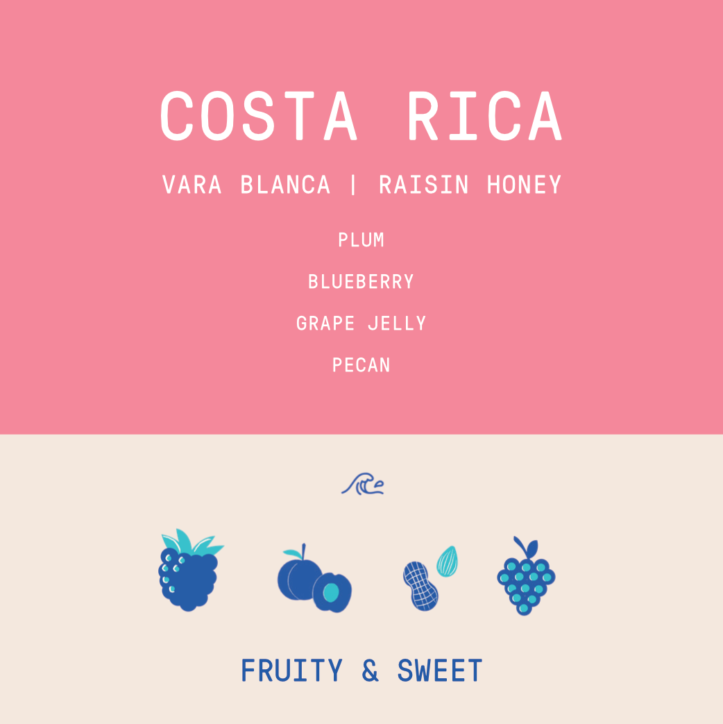Costa Rica - Ivan Solis - Vara Blanca | Raisin Honey - Archived