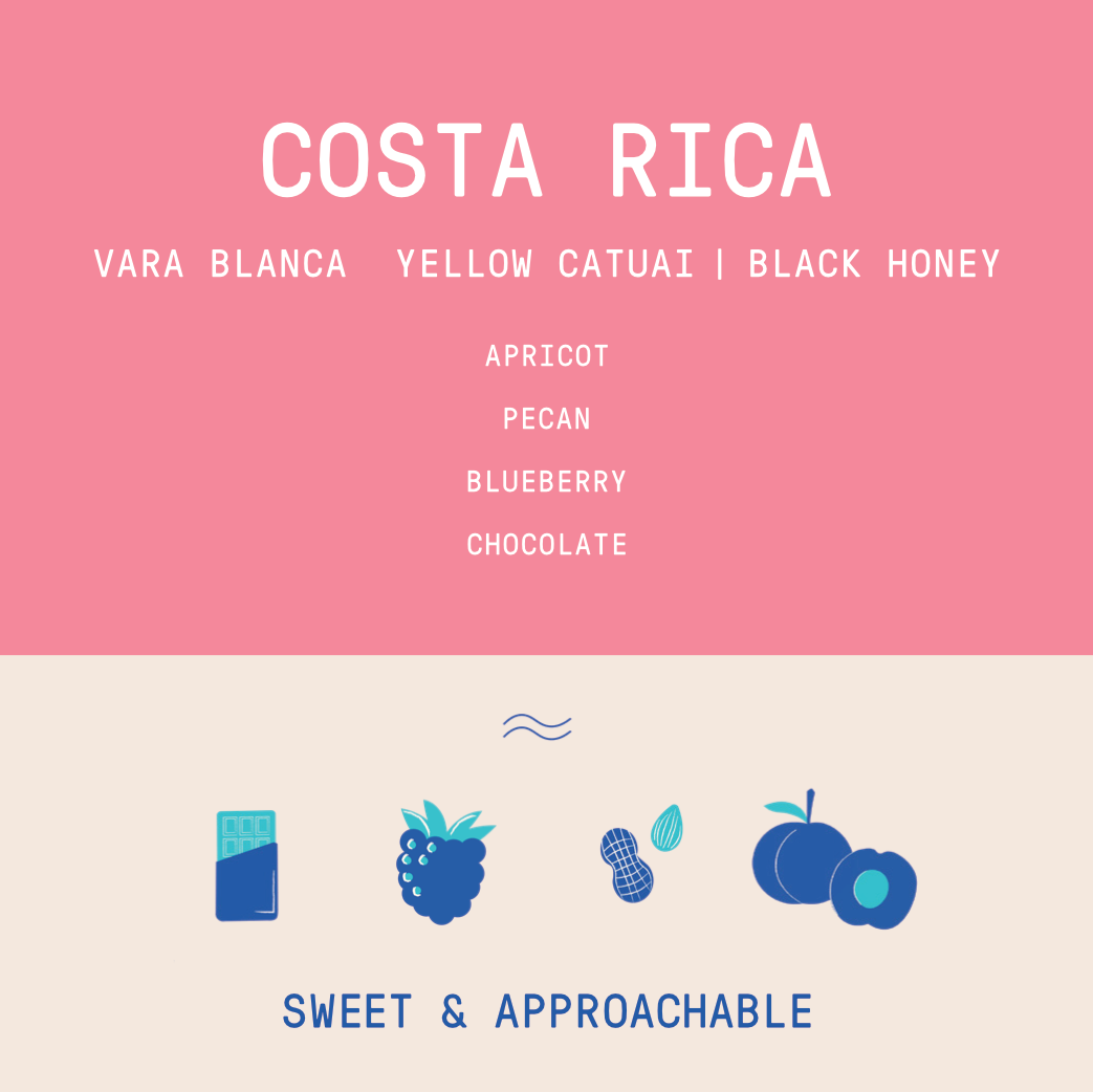 Costa Rica - Ivan Solis - Vara Blanca | Black Honey - Archived