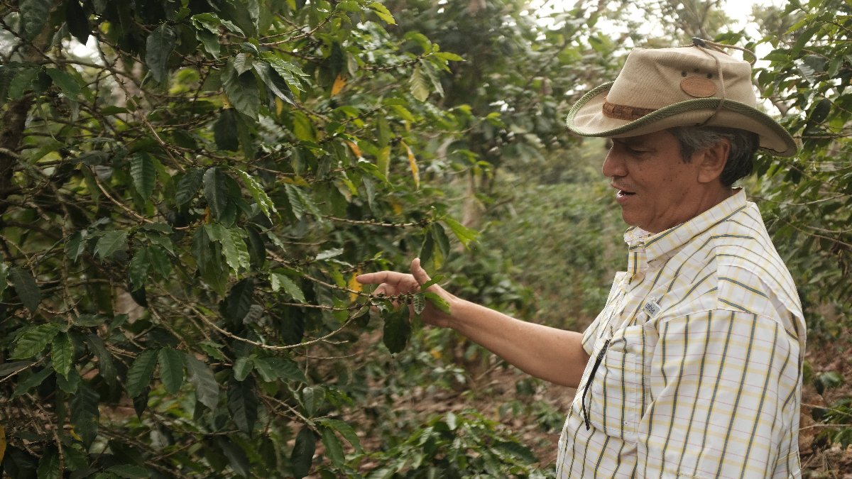 El Salvador - El Carmen | Elite Bourbon Washed - Archived