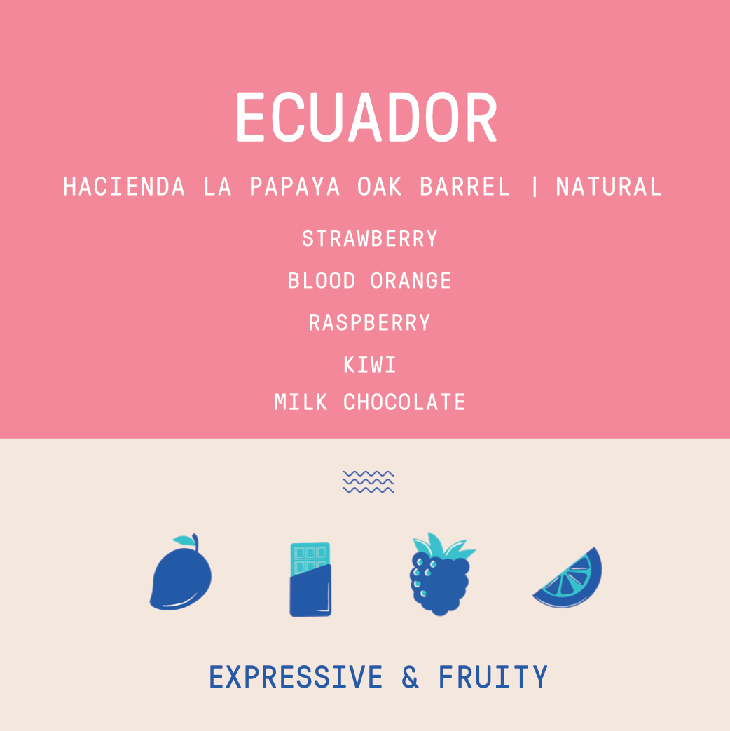 Ecuador - Hacienda La Papaya Typica Mejorado | Oak Barrel Fermented Natural