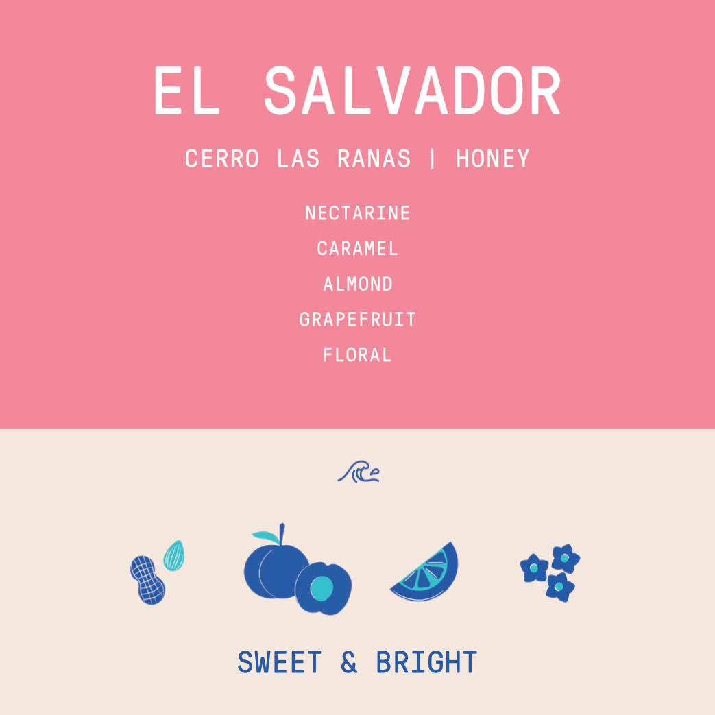 El Salvador - Cerro Las Ranas | Honey