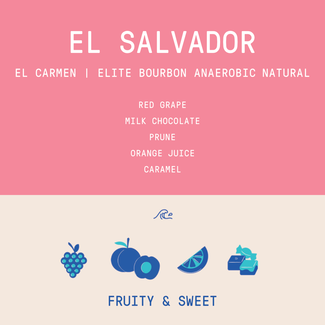 El Salvador - El Carmen | Elite Bourbon Anaerobic Natural - Archived