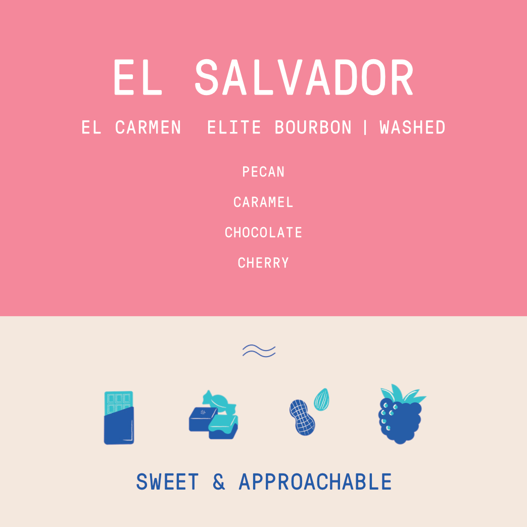 El Salvador - El Carmen | Elite Bourbon Washed - Archived