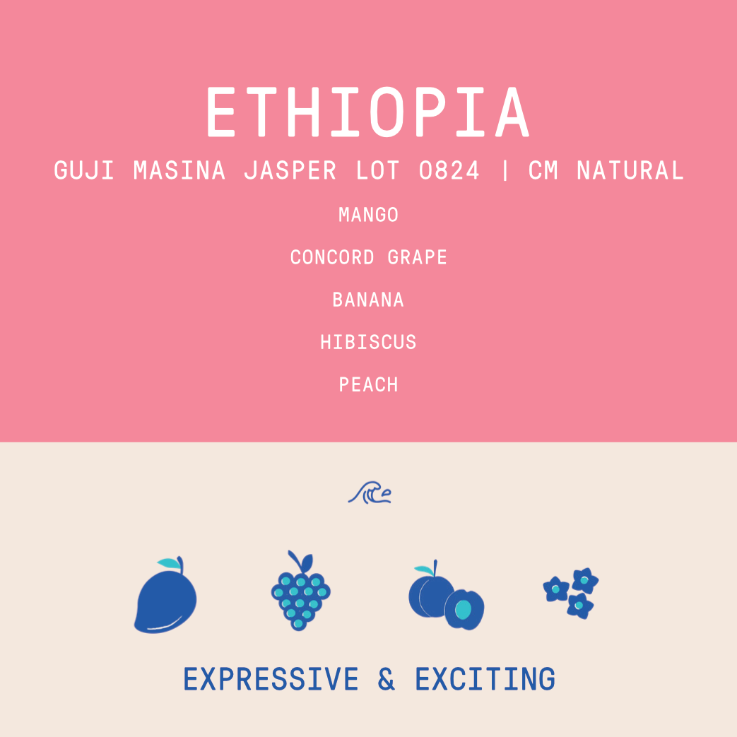 Ethiopia - Project Origin Guji Masina Jasper Lot 0824 | CM Natural - 150g - Archived