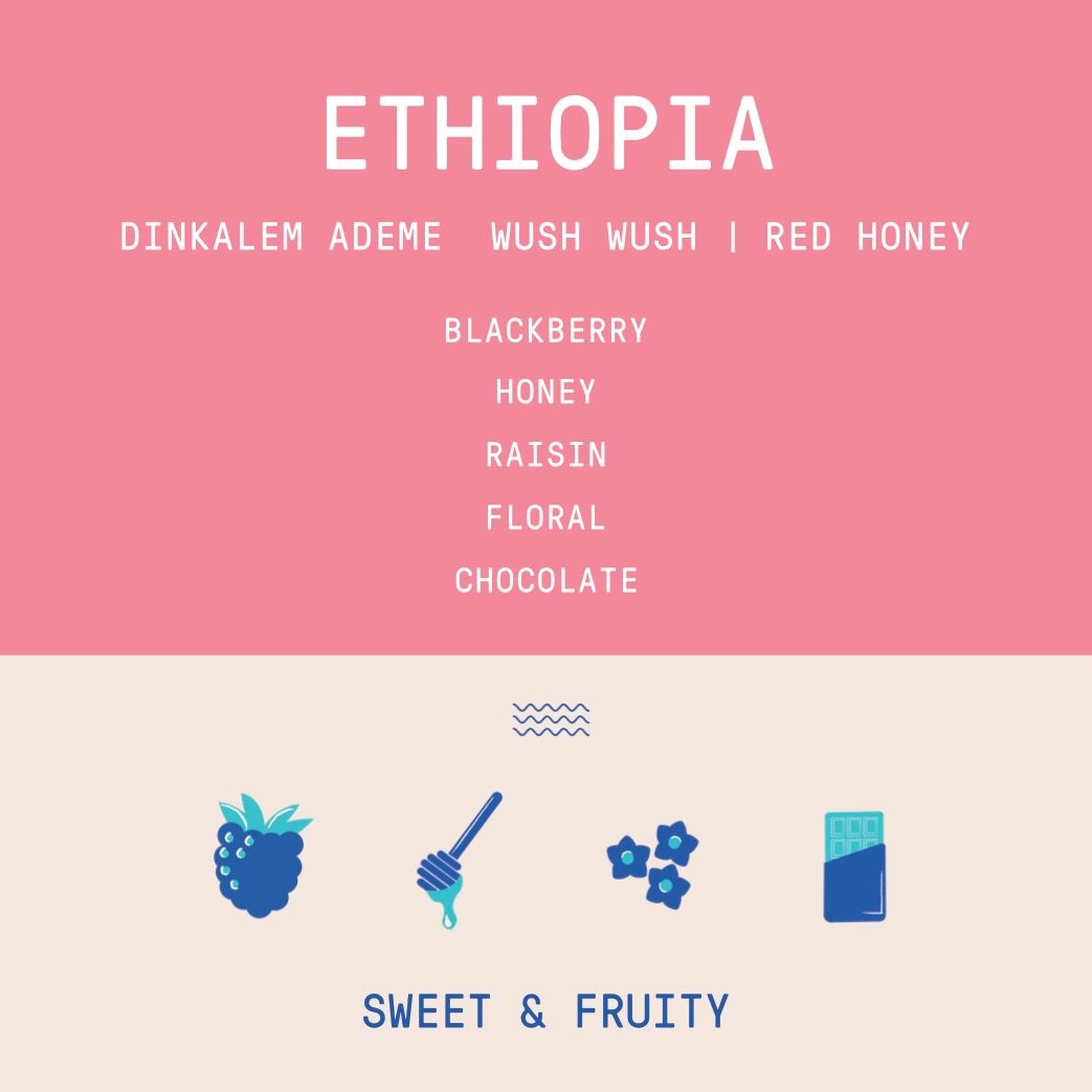 Ethiopia - Dinkalem Ademe | Wush Wush Red Honey - Archived