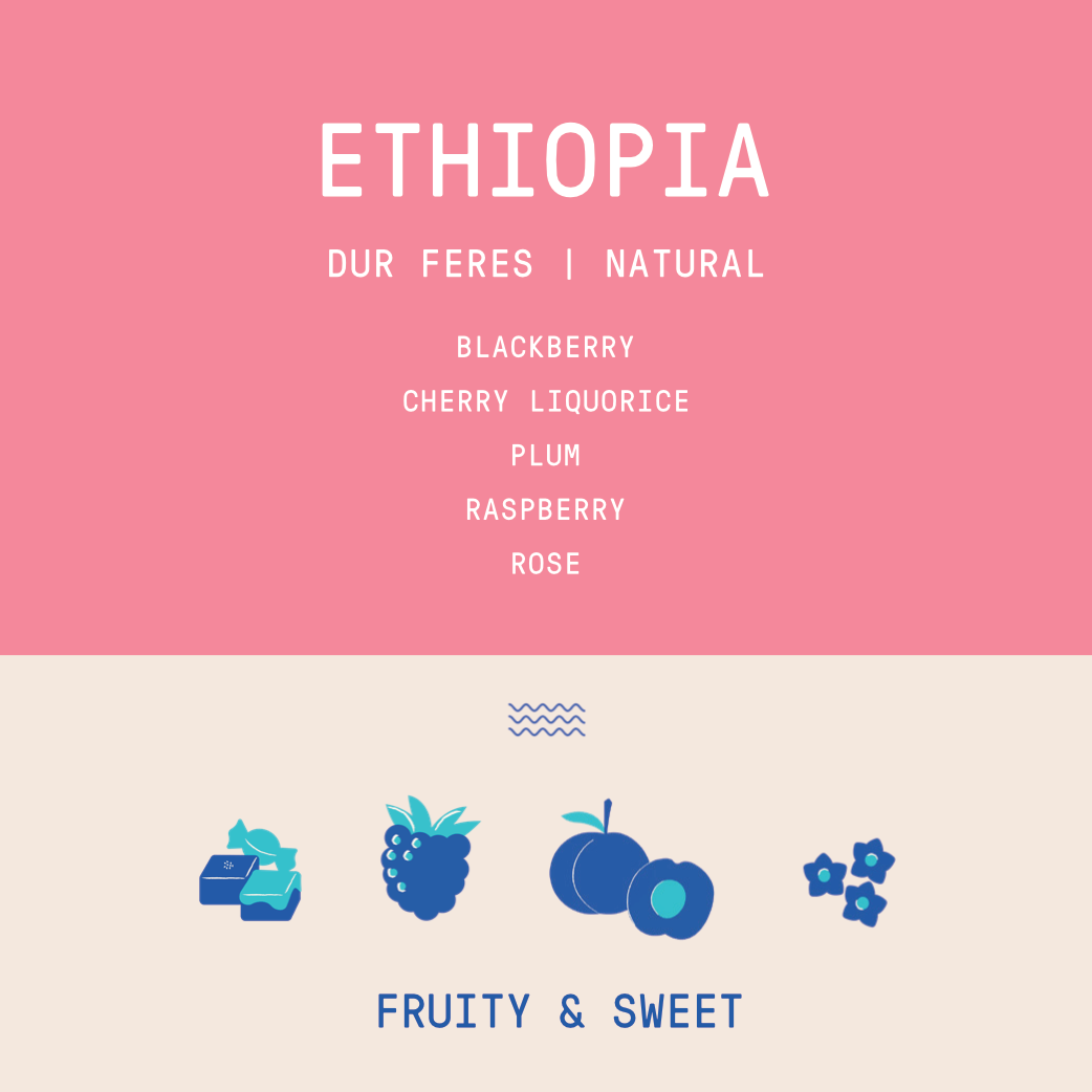 Ethiopia - Dur Feres Sidama | Natural - Archived