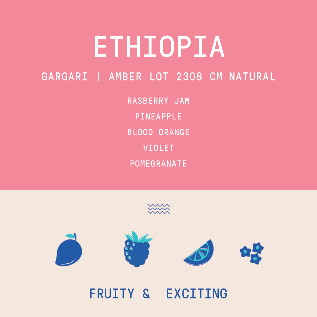 Ethiopia - Project Origin Gargari Amber Lot 2308 | CM Natural - 150g - Archived