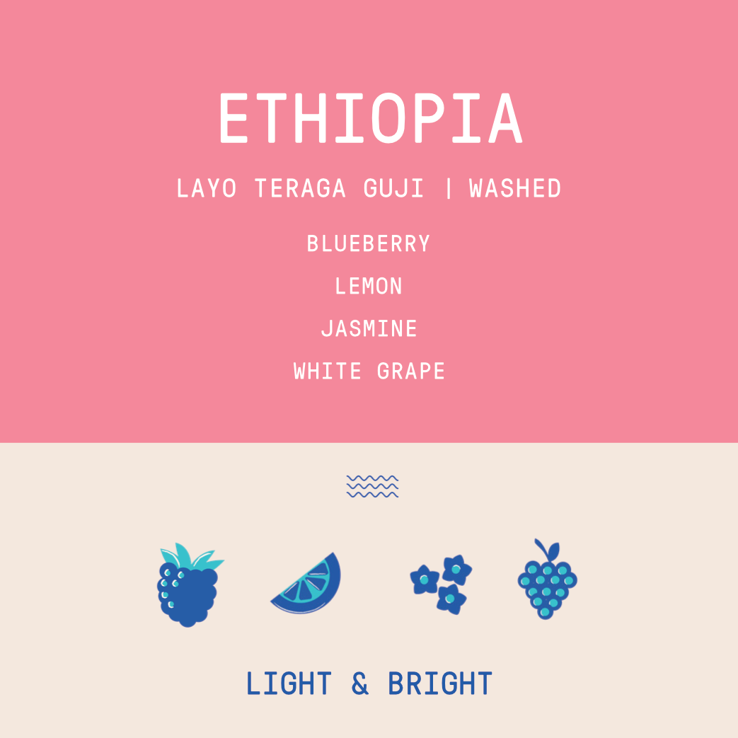 Ethiopia - Layo Teraga Guji | Washed - Archived