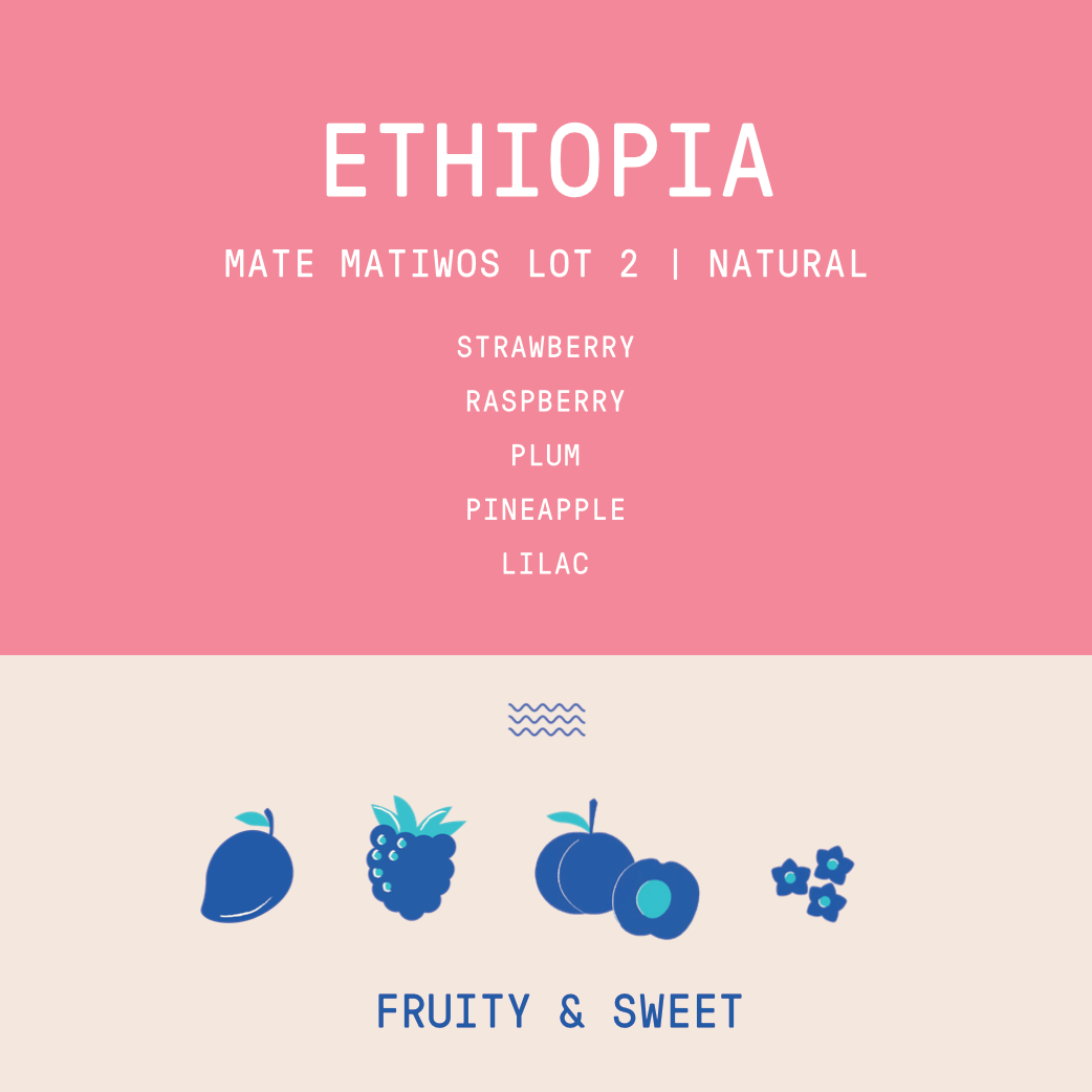 Ethiopia - Mate Matiwos Lot 2 Keramo | Natural - Archived