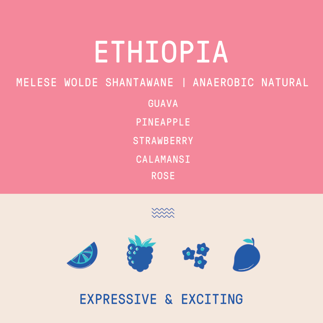 Ethiopia - Melese Wolde Shantawane | Anaerobic Natural
