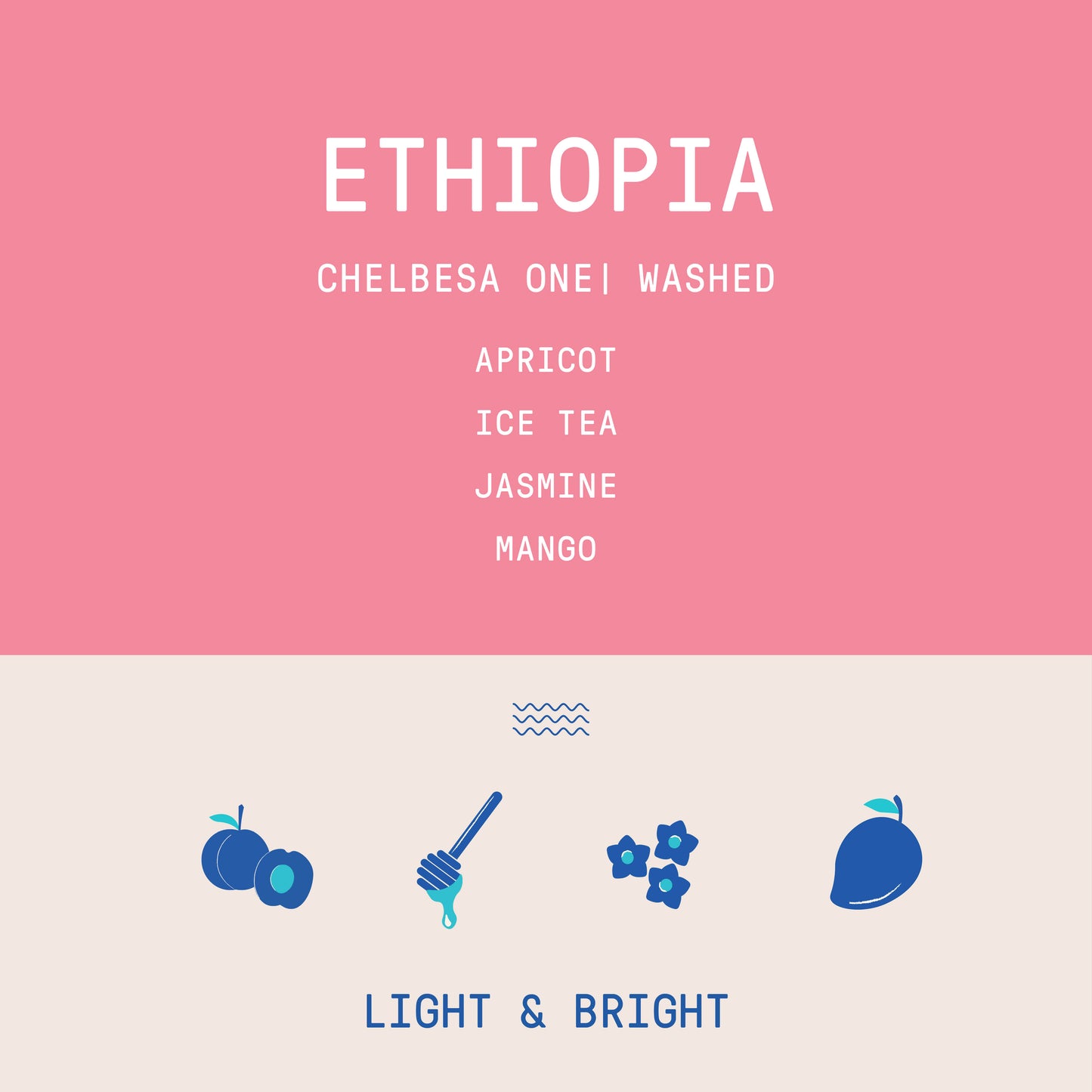 Ethiopia - Chelbesa One | Washed - Archived