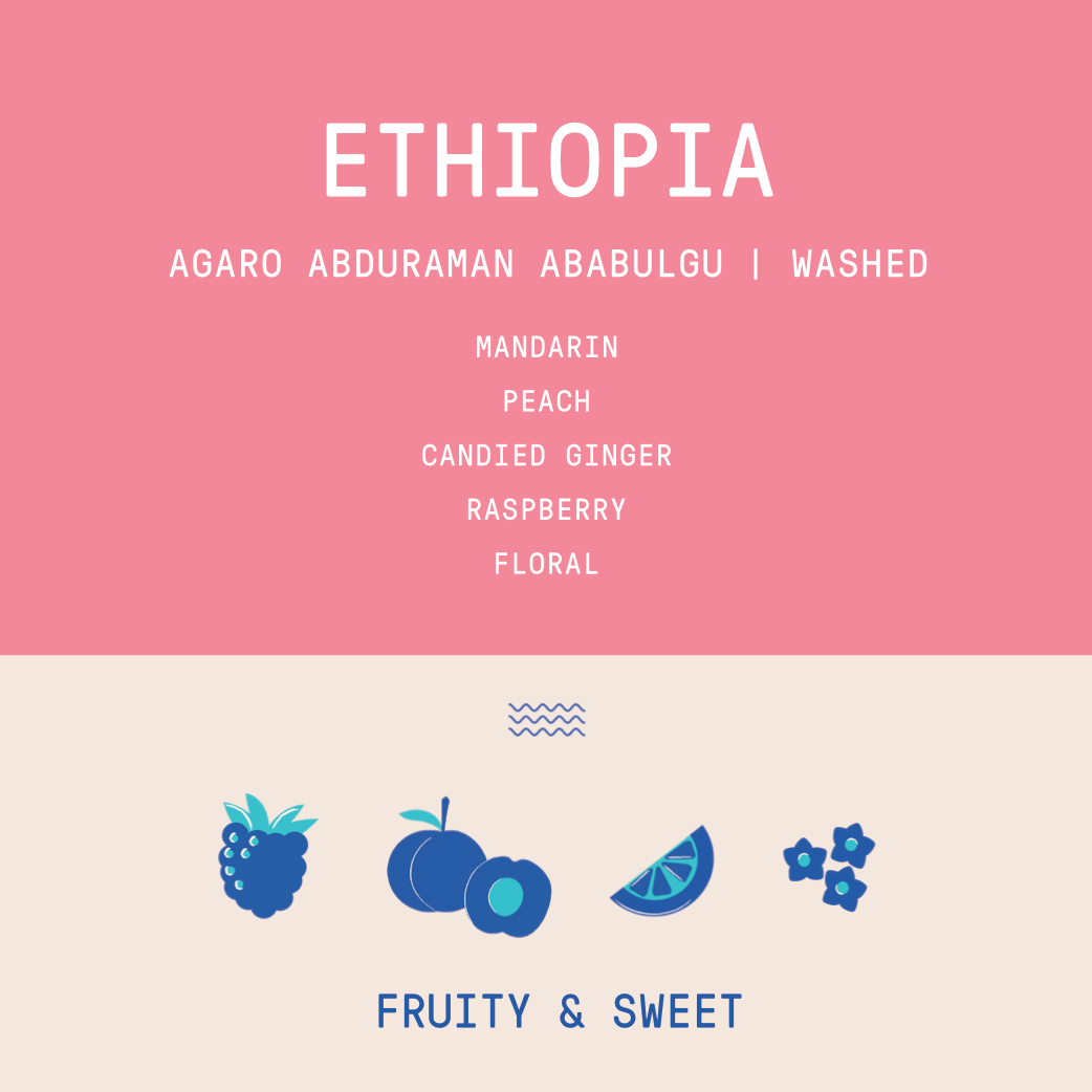 Ethiopia - Agaro Abdulrherman Ababulgu | Washed - Archived