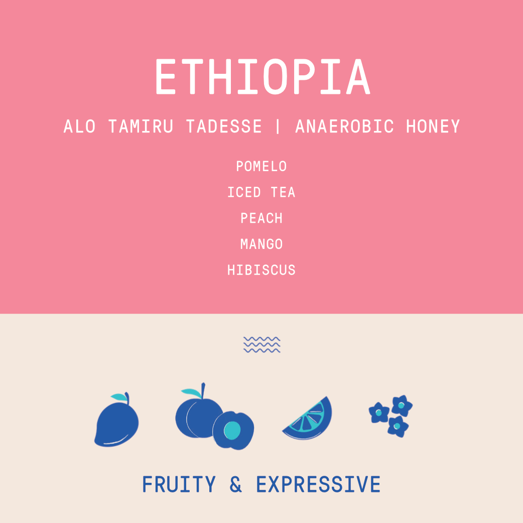 Ethiopia - Alo coffee Tamiru Tadesse | Anaerobic Honey - 200g - Archived