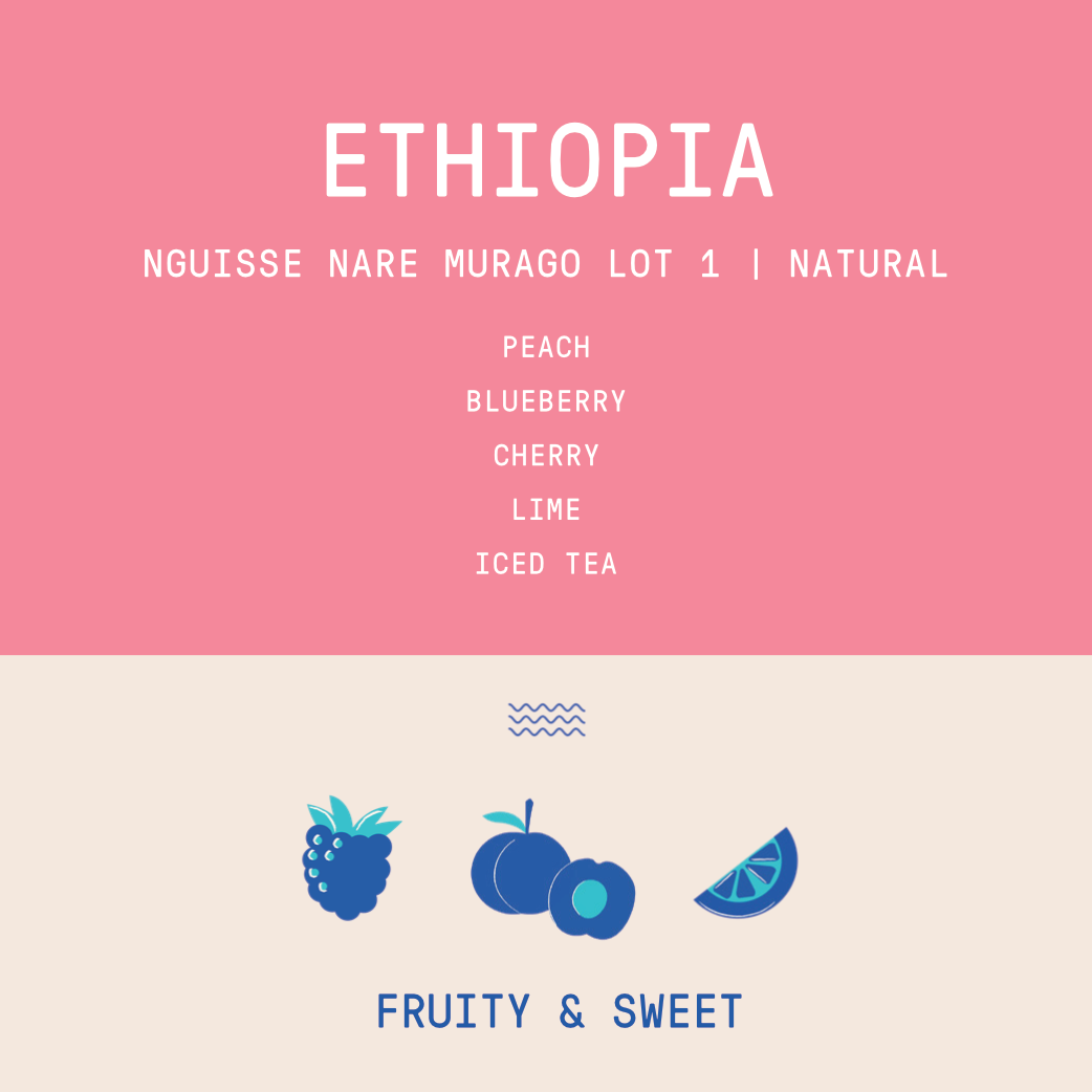 Ethiopia - Nguisse Nare Murago Lot 1 | Natural - Archived